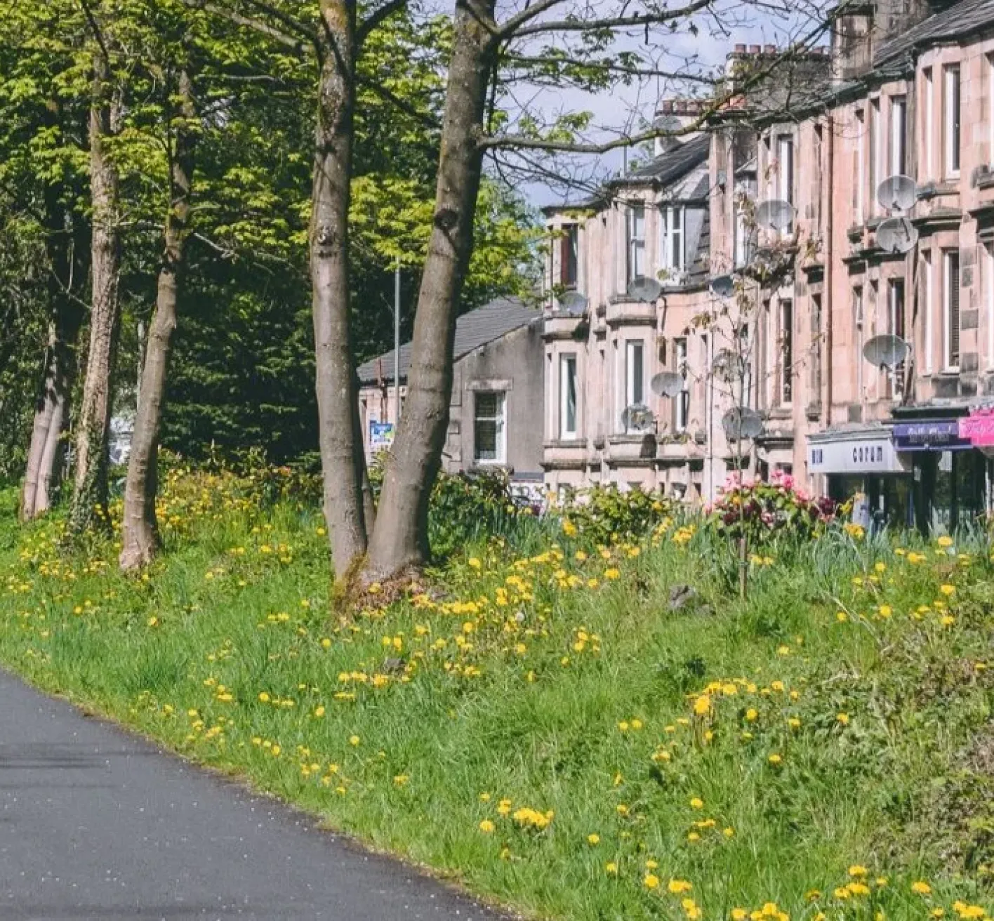 Walking path beside trees and grass with a row of houses behind them in Bridge of Weir.