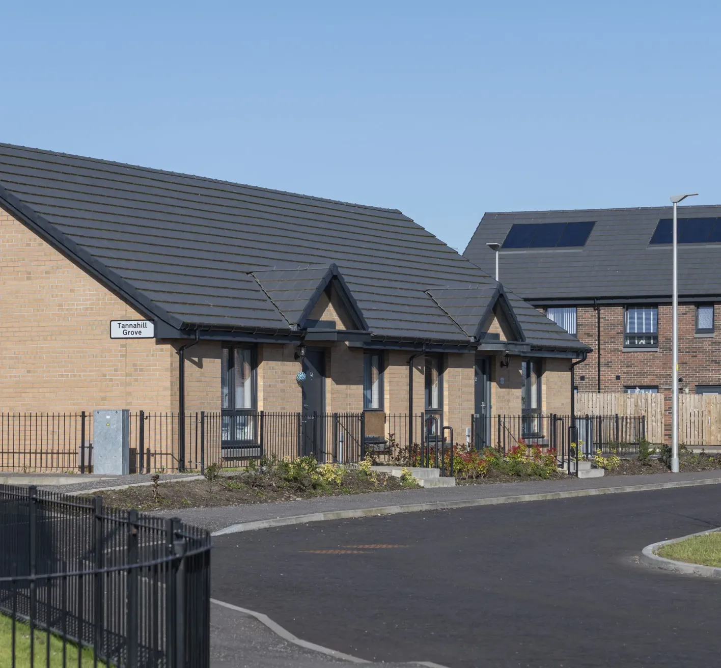 New houses and a new road in front of them, with some plants in front of them and some grass and a newly planted tree.